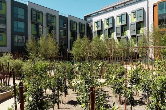 HomeRise at Mission Bay apartment complex with lemon trees in the foreground.